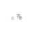 Palido Studs - Träume verfolgen. K13159W