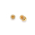 Palido Studs - Colorista K11607G