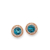Palido Studs - My Diary S5186R
