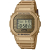 Casio Watches - DWE-5600HG-1ER