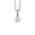 Palido Pendant - Weißgold 585 - F1309W