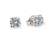 Palido Studs - Weißgold 585 - K10908