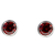 Schneider Basic Studs - Silber – Monatsstein Jänner - SMO01