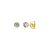 XENOX Studs - XS10625G