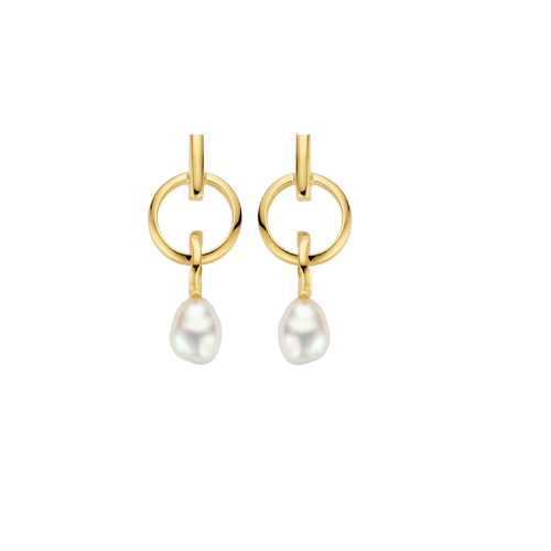FJF JEWELLERY Earrings - Icon Circles - FJF0030029SYG