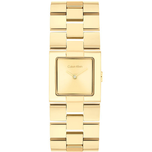 Calvin Klein Watches - 25100089