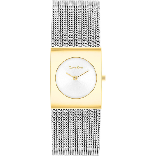 Calvin Klein Watches - 25100139