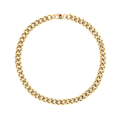 Tommy Hilfiger Necklace - WILD - 2790605