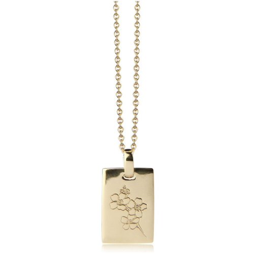 Jeberg Necklace - Forget me not - 40015-Anchor-50