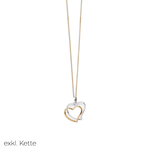 Stardiamant Pendant - D5065GW