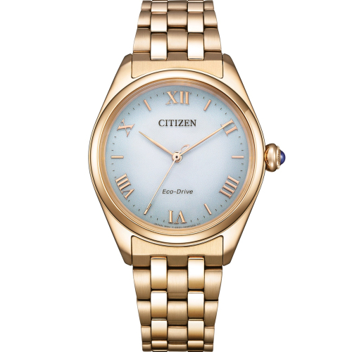 Citizen Watches - EM1143-81X	