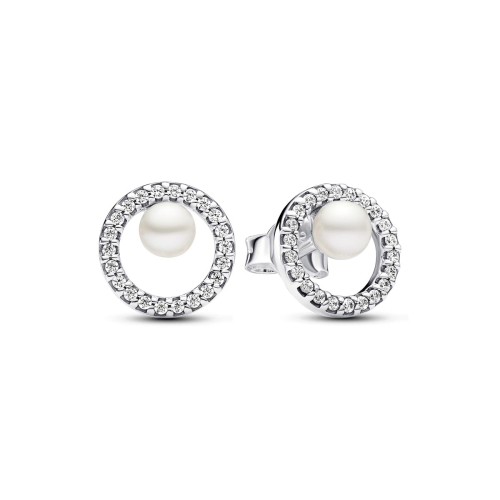 Pandora Studs - 293154C01