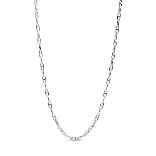 Pandora Necklace - 393899C00-55