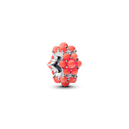 Pandora Charm - 793897C01