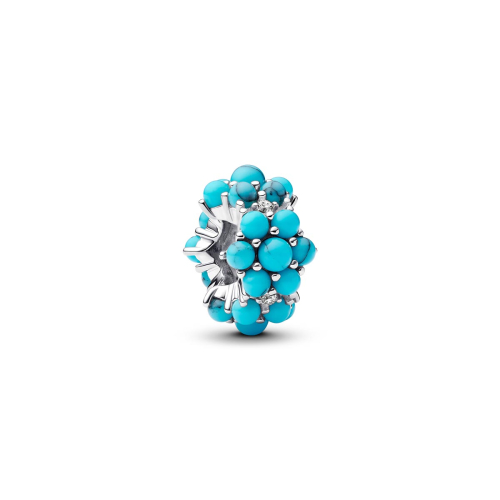 Pandora Charm - 793897C02