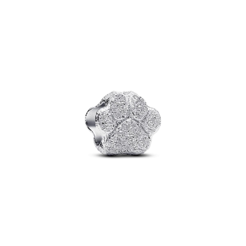 Pandora Charm - Paw - 794043C00