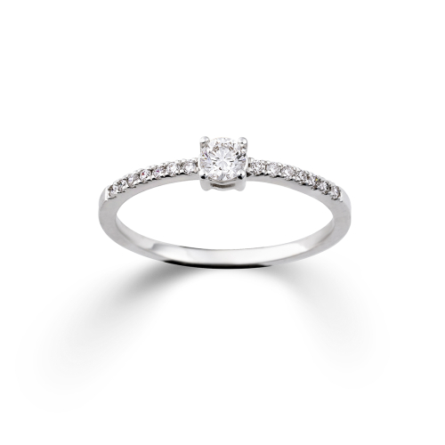 Palido Rings - K13007W