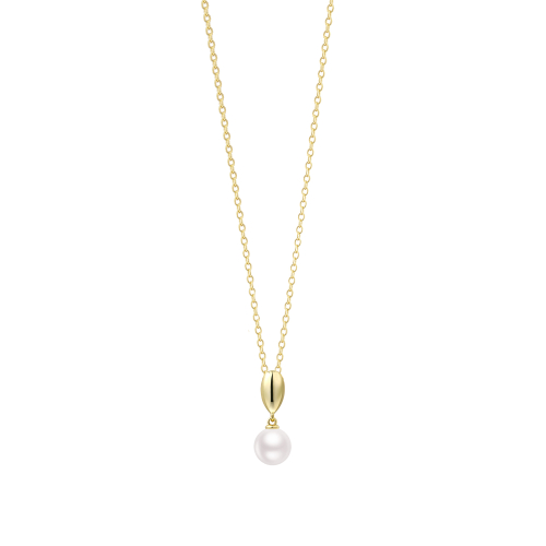 XENOX Necklace - XS91850G